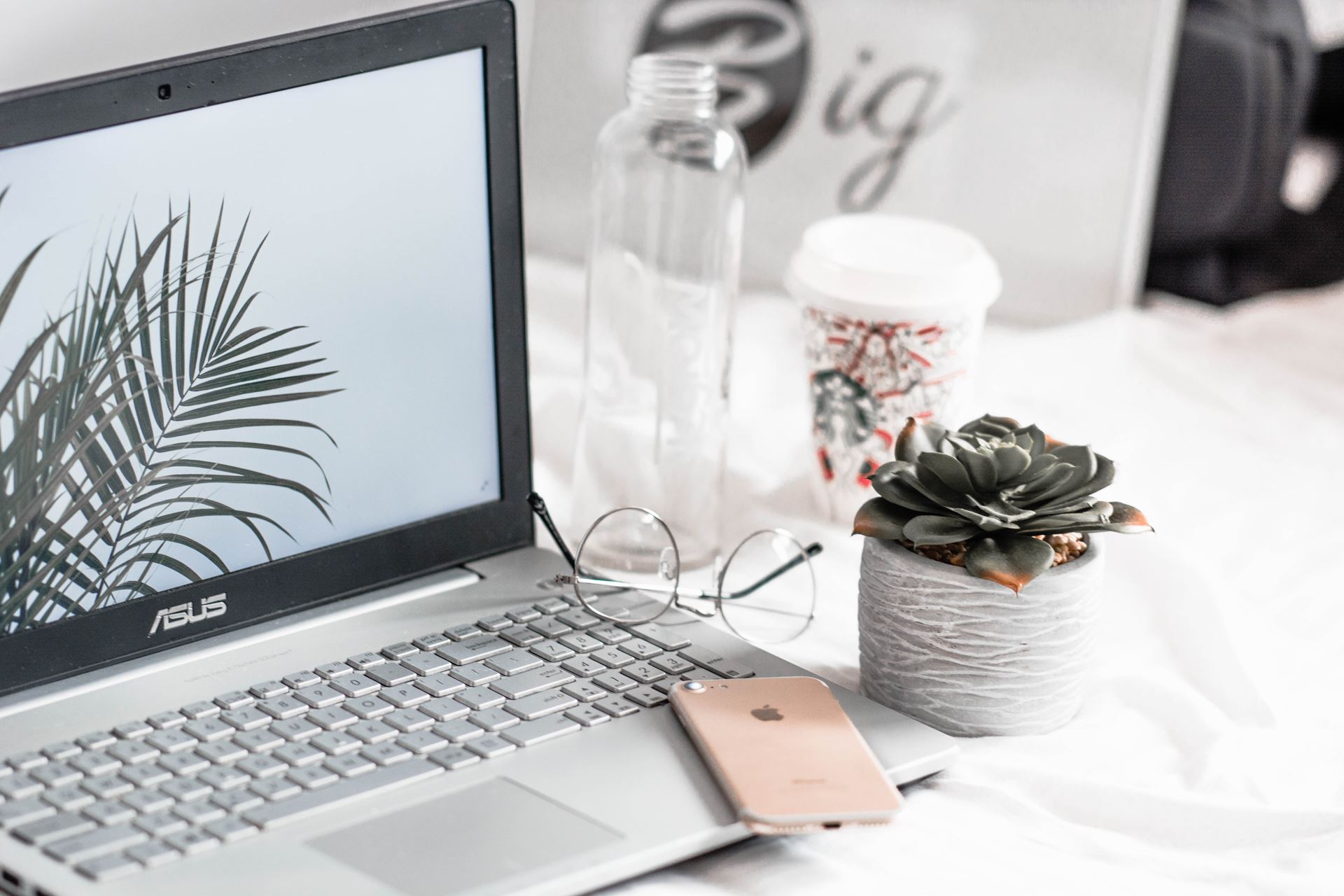 laptop with succulent plant in pot