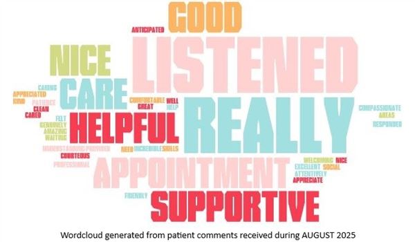 wordcloud created from patient comments received during August 2025